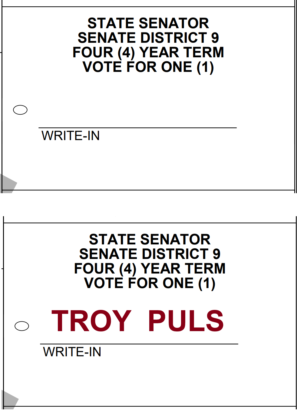 How to write in Troy Puls on your ballot for State Senator — Senate District 9 (Write-In)